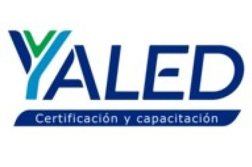 Yaled Consultores